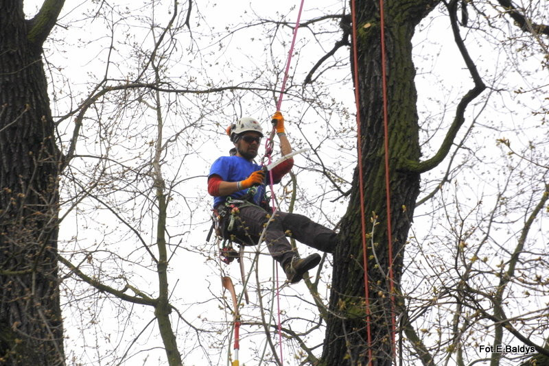 Alpiniści przycinają Bolka (zdjęcia)