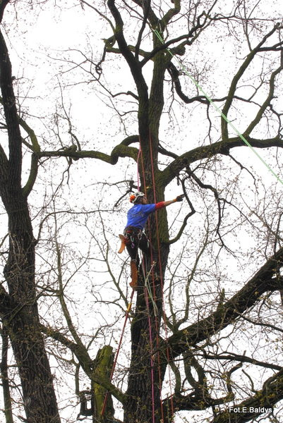 Alpiniści przycinają Bolka (zdjęcia)