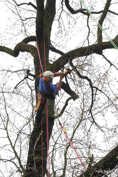 Alpiniści przycinają Bolka (zdjęcia)