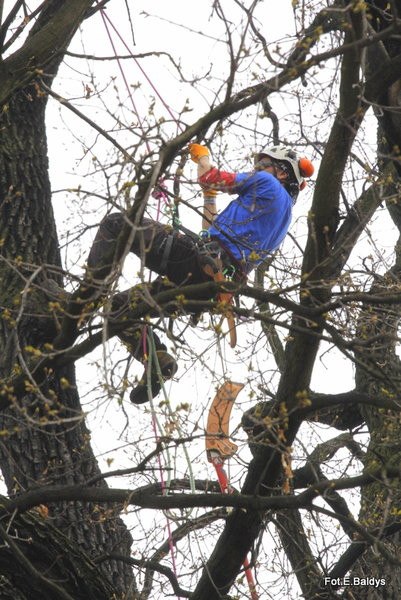 Alpiniści przycinają Bolka (zdjęcia)