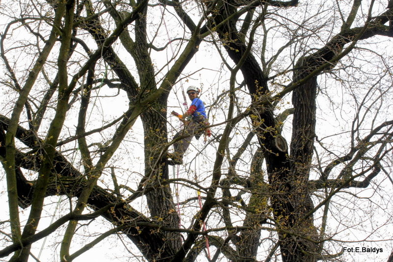 Alpiniści przycinają Bolka (zdjęcia)