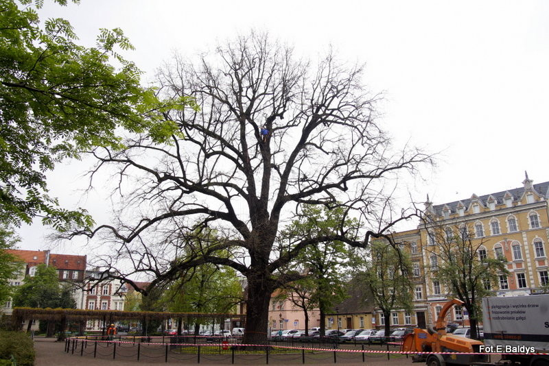 Alpiniści przycinają Bolka (zdjęcia)