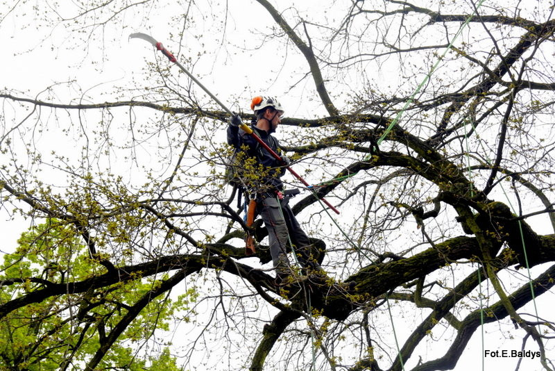 Alpiniści przycinają Bolka (zdjęcia)