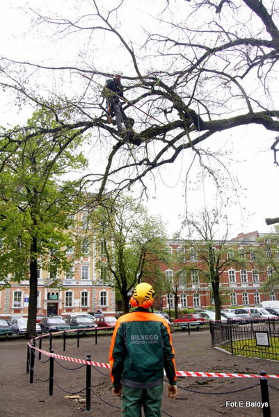 Alpiniści przycinają Bolka (zdjęcia)