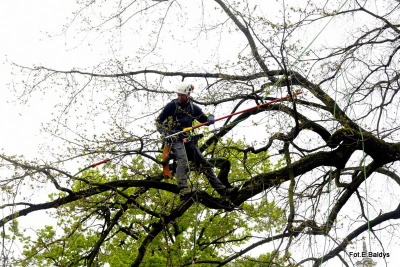 Alpiniści przycinają Bolka (zdjęcia)