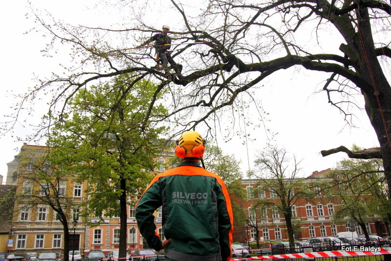 Alpiniści przycinają Bolka (zdjęcia)