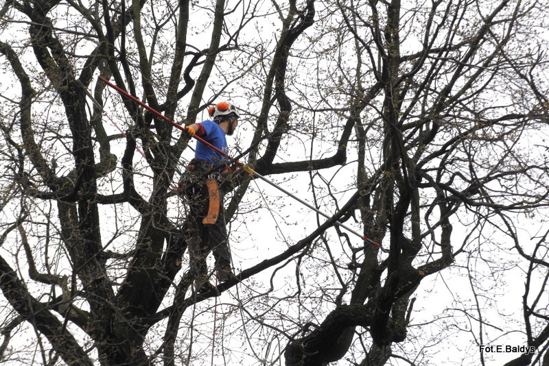 Alpiniści przycinają Bolka (zdjęcia)
