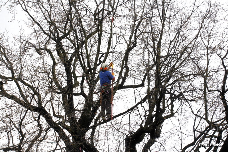 Alpiniści przycinają Bolka (zdjęcia)