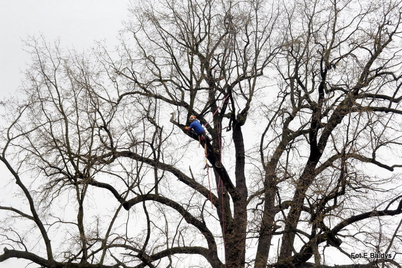 Alpiniści przycinają Bolka (zdjęcia)
