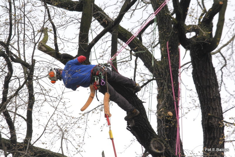 Alpiniści przycinają Bolka (zdjęcia)