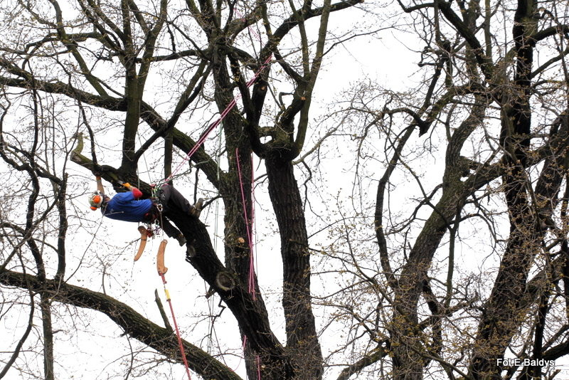 Alpiniści przycinają Bolka (zdjęcia)