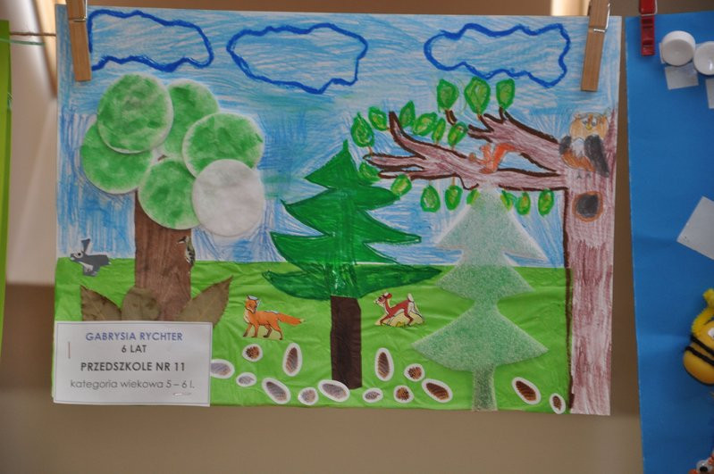 Las domem zwierząt (zdjęcia)