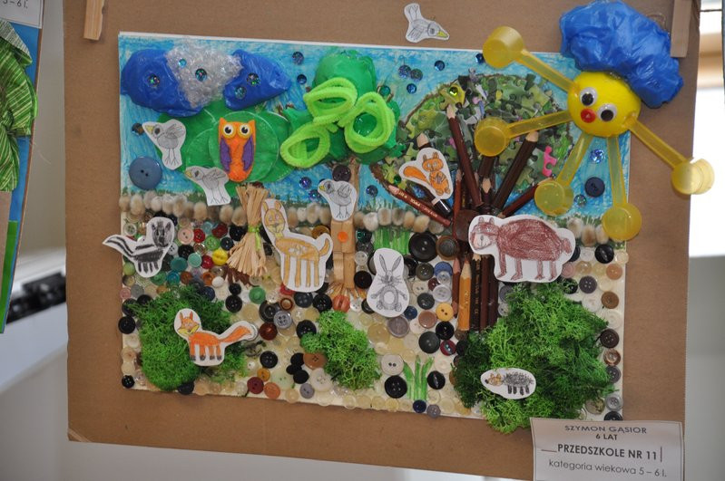 Las domem zwierząt (zdjęcia)