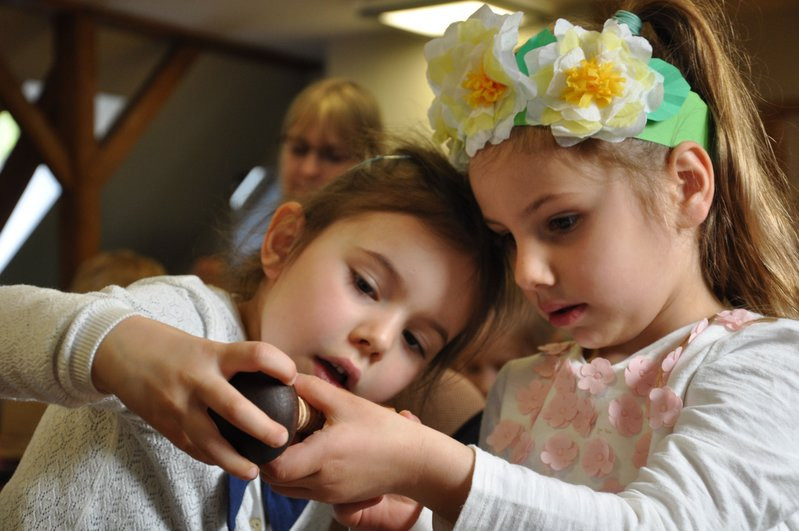 Las domem zwierząt (zdjęcia)