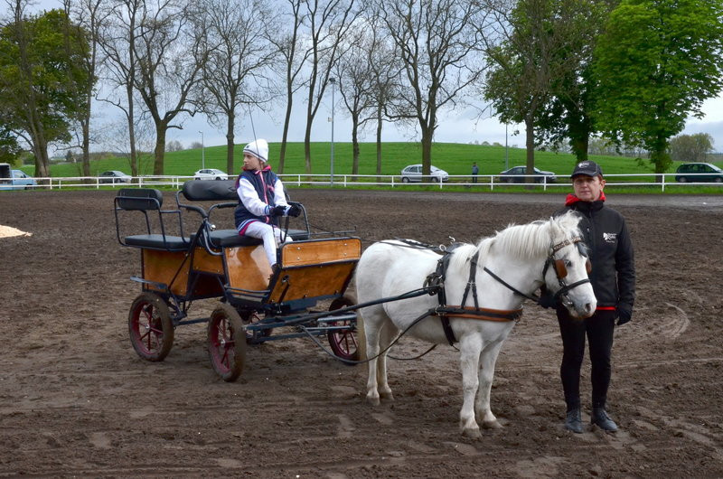 Puchary starosty dla powożących (zdjęcia)