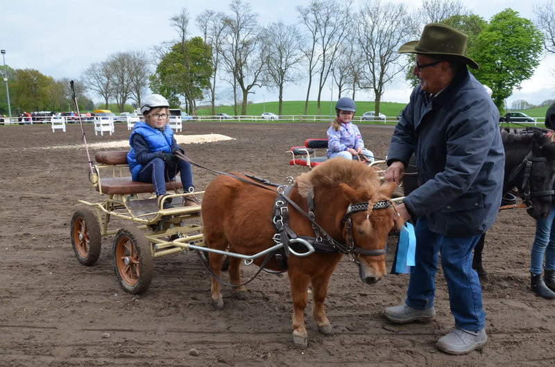 Puchary starosty dla powożących (zdjęcia)