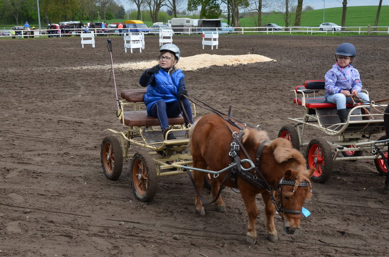 Puchary starosty dla powożących (zdjęcia)