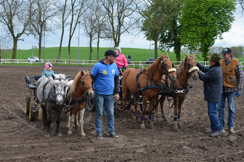 Puchary starosty dla powożących (zdjęcia)