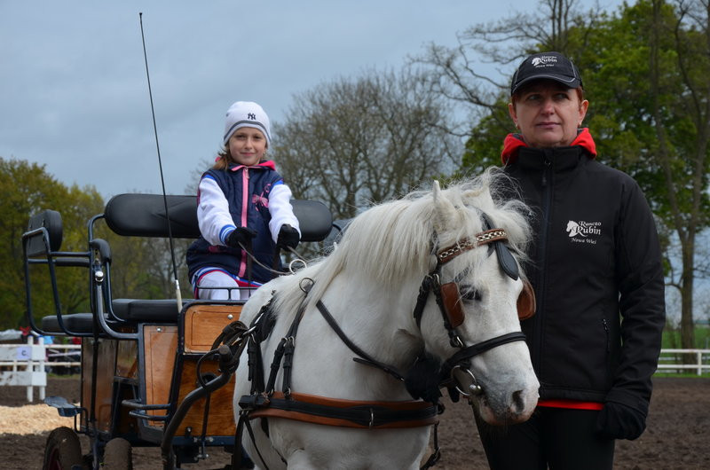 Puchary starosty dla powożących (zdjęcia)