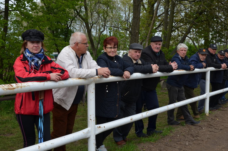 Puchary starosty dla powożących (zdjęcia)