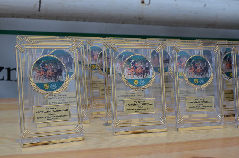 Puchary starosty dla powożących (zdjęcia)