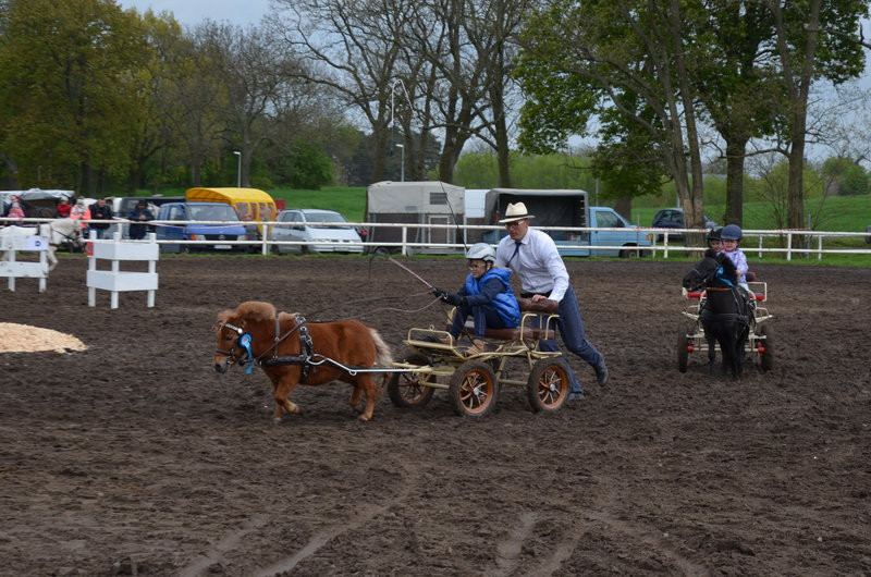 Puchary starosty dla powożących (zdjęcia)