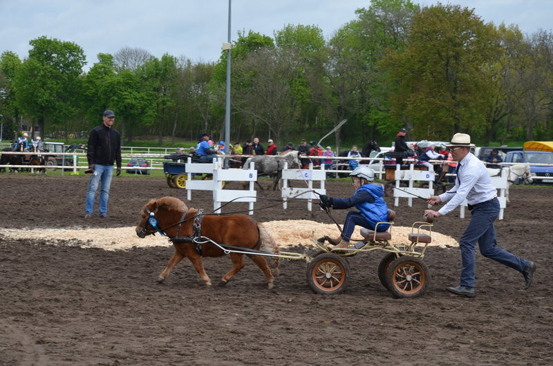 Puchary starosty dla powożących (zdjęcia)