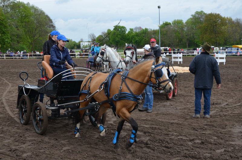 Puchary starosty dla powożących (zdjęcia)