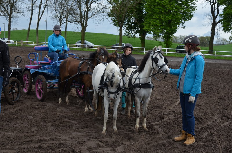 Puchary starosty dla powożących (zdjęcia)