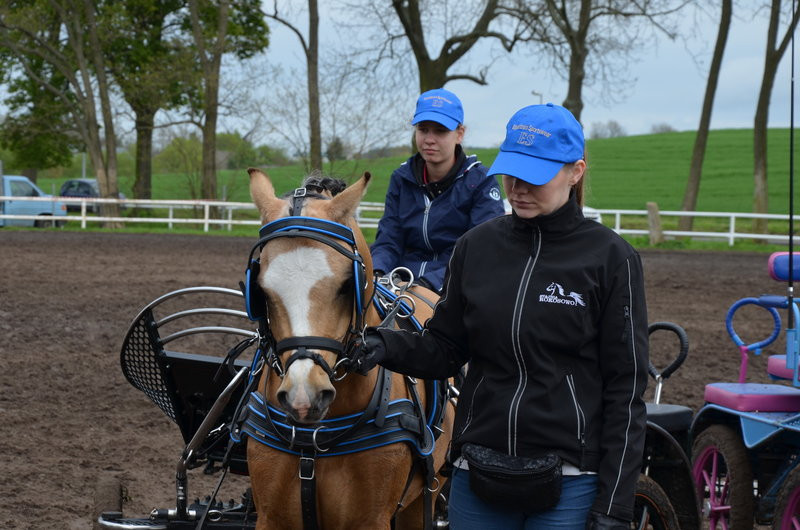Puchary starosty dla powożących (zdjęcia)