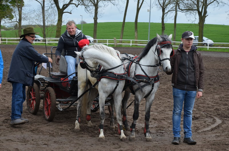 Puchary starosty dla powożących (zdjęcia)