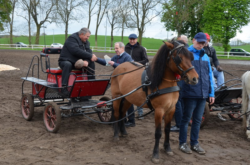 Puchary starosty dla powożących (zdjęcia)