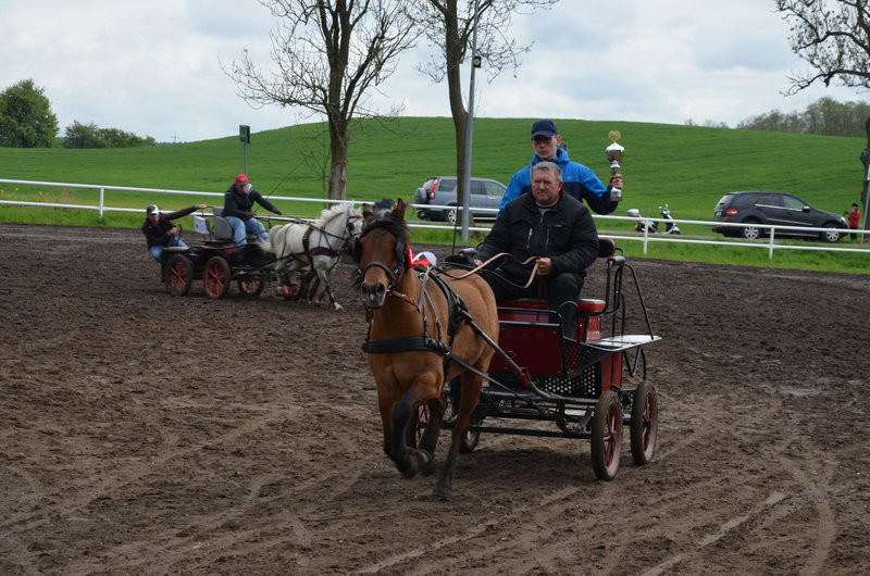 Puchary starosty dla powożących (zdjęcia)