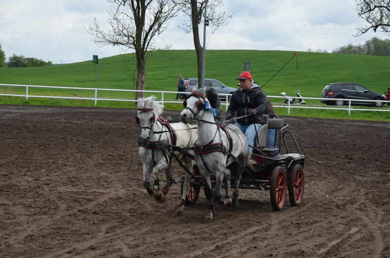 Puchary starosty dla powożących (zdjęcia)