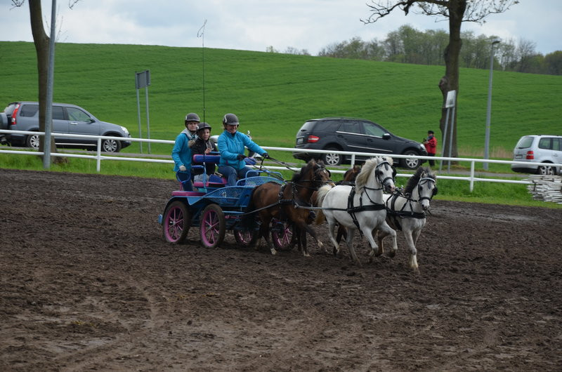 Puchary starosty dla powożących (zdjęcia)