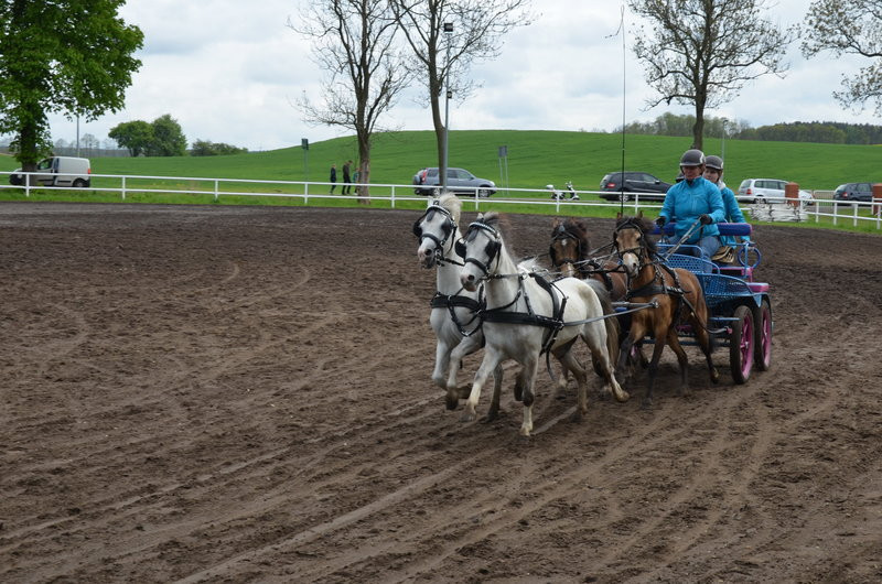Puchary starosty dla powożących (zdjęcia)