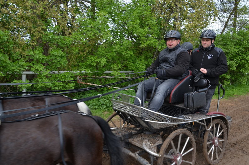 Puchary starosty dla powożących (zdjęcia)