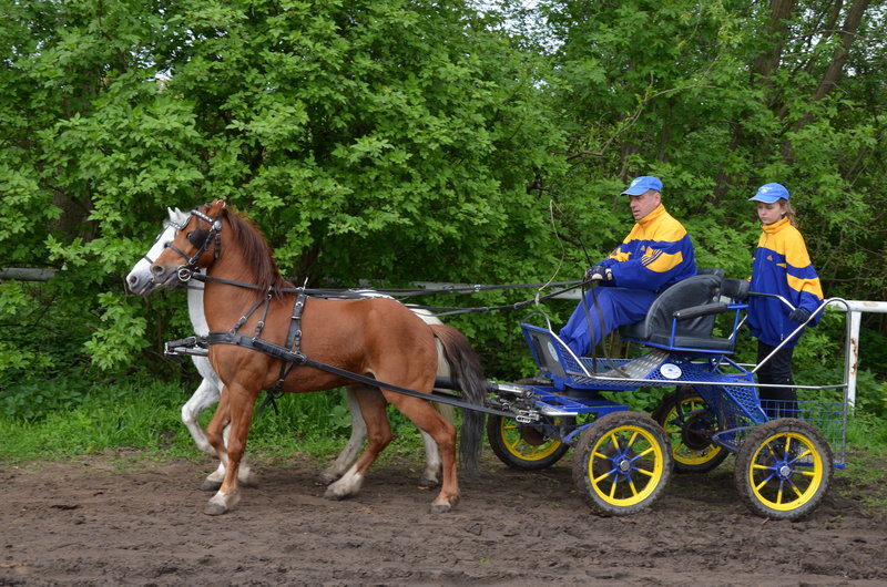 Puchary starosty dla powożących (zdjęcia)