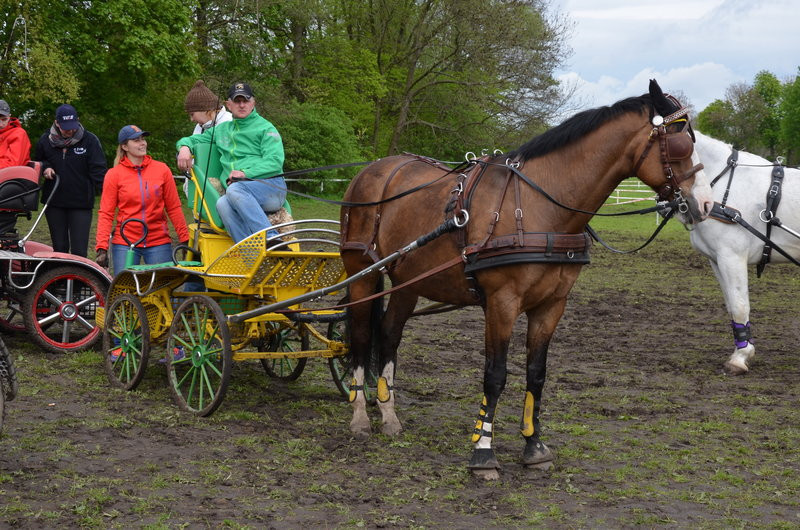 Puchary starosty dla powożących (zdjęcia)