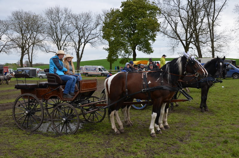 Puchary starosty dla powożących (zdjęcia)