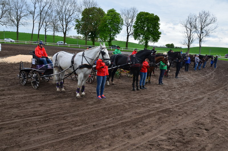 Puchary starosty dla powożących (zdjęcia)