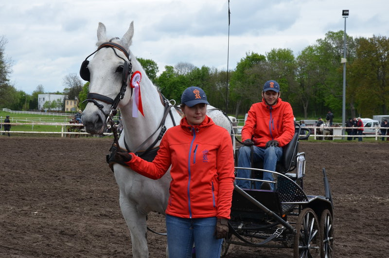 Puchary starosty dla powożących (zdjęcia)