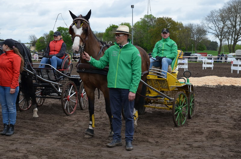 Puchary starosty dla powożących (zdjęcia)
