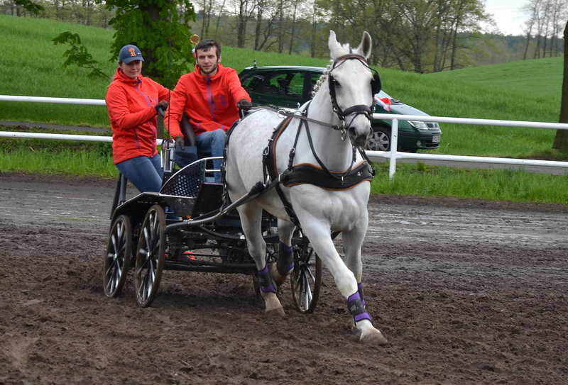 Puchary starosty dla powożących (zdjęcia)