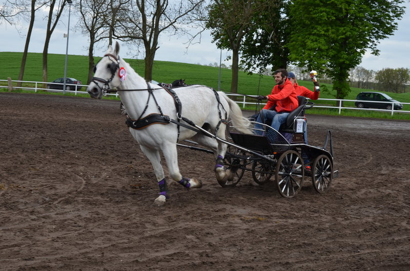 Puchary starosty dla powożących (zdjęcia)