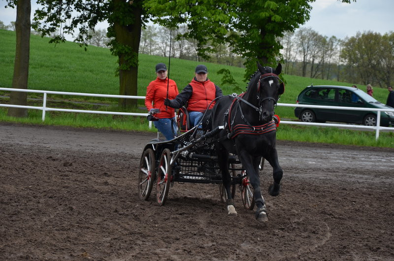 Puchary starosty dla powożących (zdjęcia)
