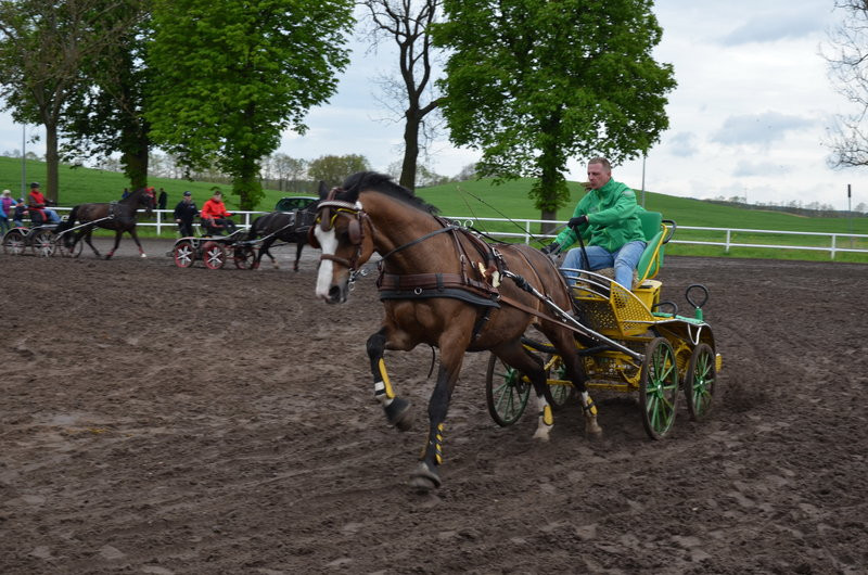 Puchary starosty dla powożących (zdjęcia)