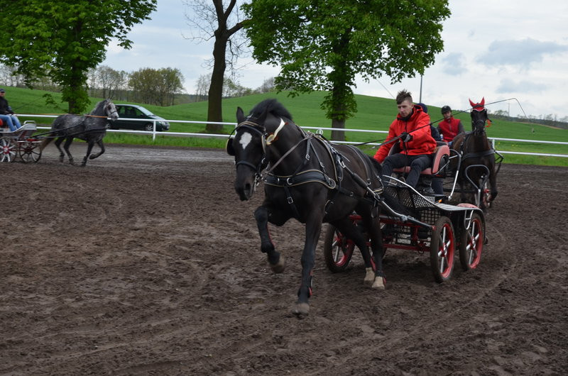 Puchary starosty dla powożących (zdjęcia)