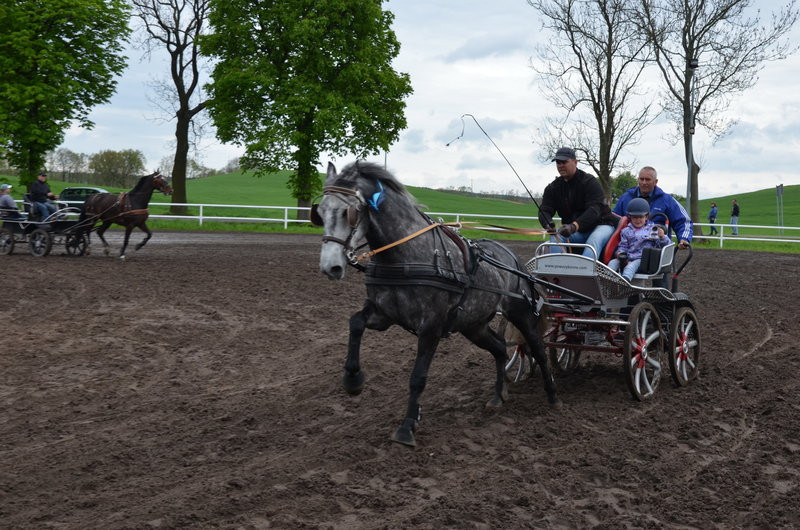 Puchary starosty dla powożących (zdjęcia)