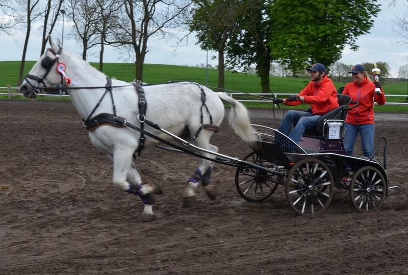 Puchary starosty dla powożących (zdjęcia)